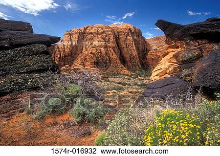 Snow Canyon State Park Utah USA View Large Photo Image Stock Image - Snow Canyon State Park Utah USA. Fotosearch