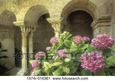 St. Paul de Mausolee St. -Remy-de-Provence France View Large Photo Image Stock Image - St. Paul de Mausolee St. -Remy-de-Provence France. Fotosearch