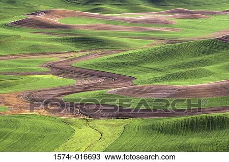 Steptoe Butte Washington USA View Large Photo Image Stock Image - Steptoe Butte Washington USA. Fotosearch
