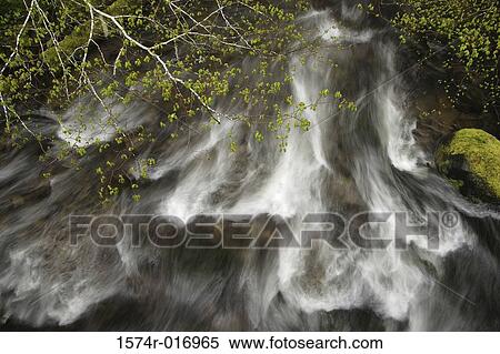 Stock Photography - Still Creek Mount Hood National Forest Oregon, USA. Fotosearch