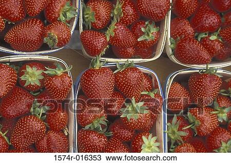 Stock Image - Strawberries. Fotosearch