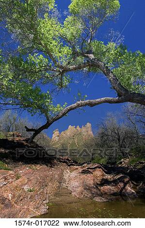 Superstition Mountains Arizona USA View Large Photo Image Stock Image - Superstition Mountains Arizona USA. Fotosearch