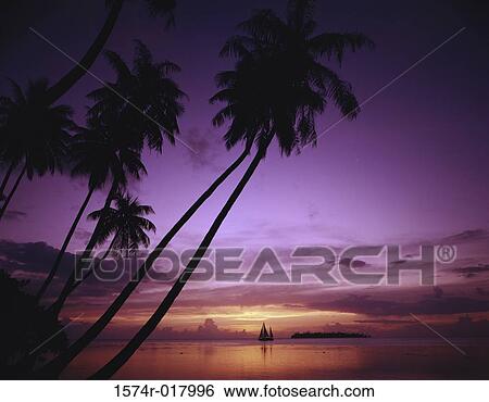Tahiti French Polynesia View Large Photo Image Stock Photograph - Tahiti French Polynesia. Fotosearch
