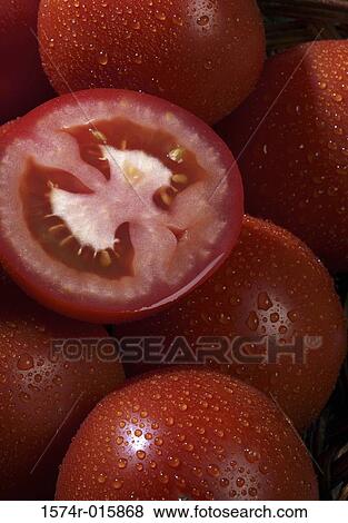 Stock Photo - Tomatoes. Fotosearch