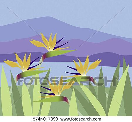 Tropical View 2004 Linda Braucht (20th C. American) Computer graphics View Large Photo Image Stock Image - Tropical View 2004 Linda Braucht (20th C. American) Computer graphics. Fotosearch