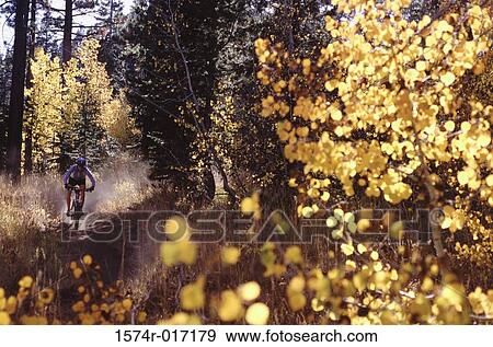 Truckee California USA View Large Photo Image Stock Photo - Truckee California USA. Fotosearch