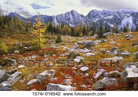 Twisp Pass North Cascades National Park Washington USA View Large Photo Image Stock Image - Twisp Pass North Cascades National Park Washington USA. Fotosearch
