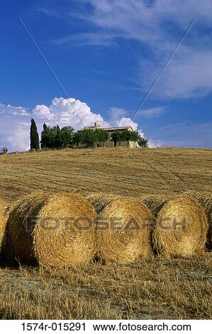 Val d'Orcia Italy View Large Photo Image Stock Image - Val d'Orcia Italy. Fotosearch
