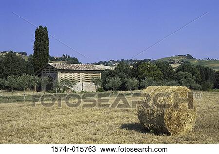 Val d'Orcia Italy View Large Photo Image Stock Image - Val d'Orcia Italy. Fotosearch