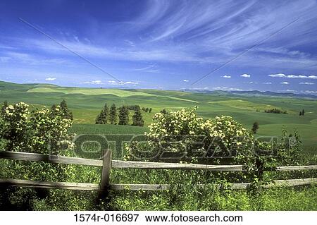 Washington USA View Large Photo Image Stock Photo - Washington USA. Fotosearch