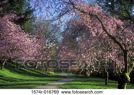 Washington USA View Large Photo Image Stock Photo - Washington USA. Fotosearch