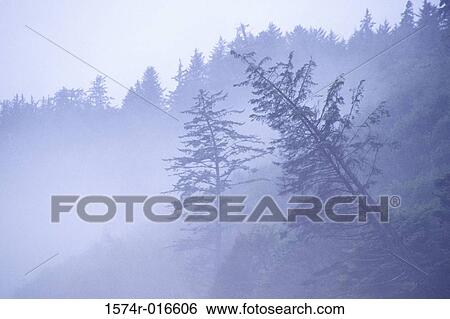 Washington USA View Large Photo Image Stock Photograph - Washington USA. Fotosearch