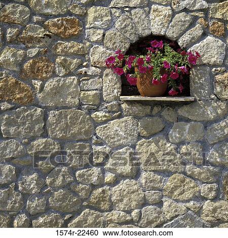 Arrangement of flowers on a rock wall View Large Photo Image Stock Image - Arrangement of flowers on a rock wall. Fotosearch