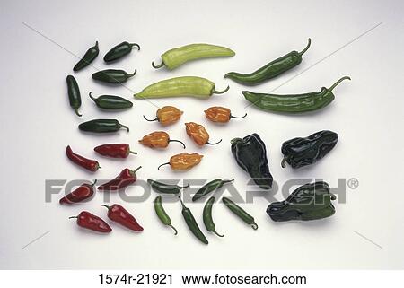 Assorted Mexican chilies View Large Photo Image Stock Image - Assorted Mexican chilies. Fotosearch