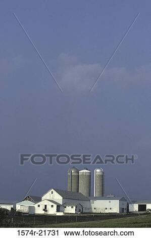 Barn with silos, Ohio, USA View Large Photo Image Stock Image - Barn with silos, Ohio, USA. Fotosearch