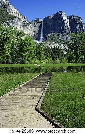 Boardwalk in a field, Upper Yosemite Falls, Yosemite National Park, California, USA View Large Photo Image Stock Image - Boardwalk in a field, Upper Yosemite Falls, Yosemite National Park, California, USA. Fotosearch