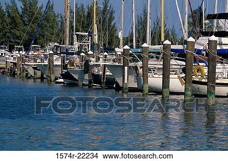 Boats docked at a port, Florida, USA View Large Photo Image Picture - Boats docked at a port, Florida, USA. Fotosearch