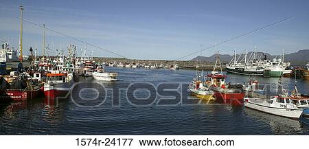 Boats moored in a harbor, Olafsvik, Iceland View Large Photo Image Stock Photo - Boats moored in a harbor, Olafsvik, Iceland. Fotosearch