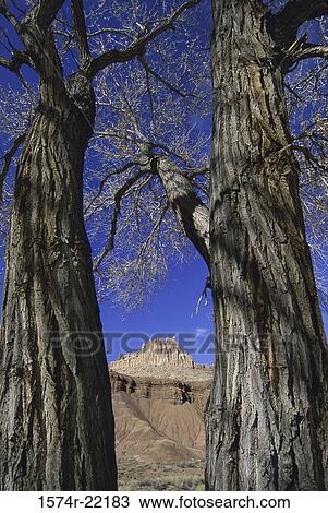 Capitol Reef National Park, Utah, USA View Large Photo Image Stock Image - Capitol Reef National Park, Utah, USA. Fotosearch