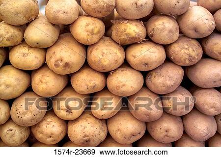 Close-up of a heap of potatoes View Large Photo Image Stock Photo - Close-up of a heap of potatoes. Fotosearch