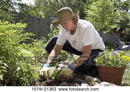 Close-up of a mature woman gardening View Large Photo Image Stock Image - Close-up of a mature woman gardening. Fotosearch
