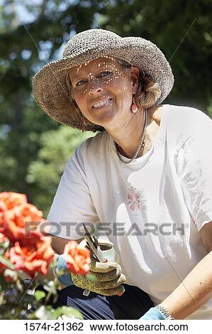 Close-up of a mature woman holding a pair of pruning shears View Large Photo Image Stock Image - Close-up of a mature woman holding a pair of pruning shears. Fotosearch