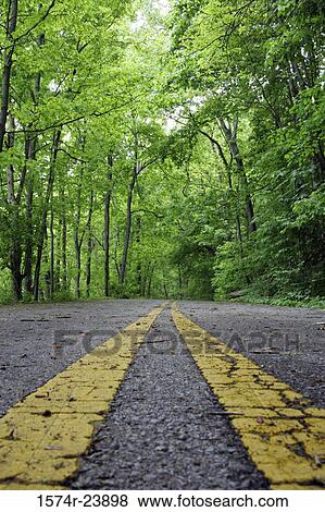 Close-up of a road marking, Otter Creek Road, Radnor Lake State Park, Tennessee, USA View Large Photo Image Stock Photo - Close-up of a road marking, Otter Creek Road, Radnor Lake State Park, Tennessee, USA. Fotosearch