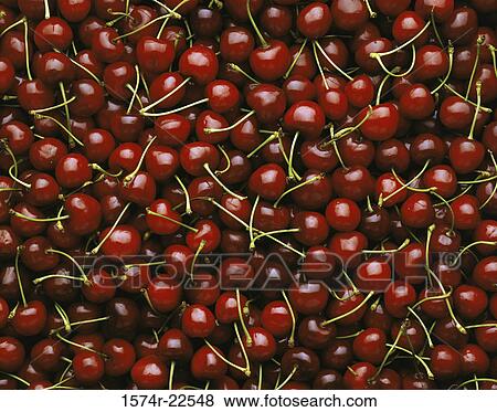 Close-up of cherries View Large Photo Image Stock Photo - Close-up of cherries. Fotosearch