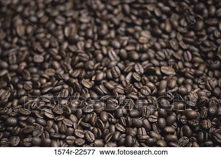 Close-up of coffee beans View Large Photo Image Stock Photo - Close-up of coffee beans. Fotosearch