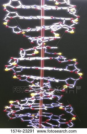 Stock Image - Close-up of DNA strands. Fotosearch