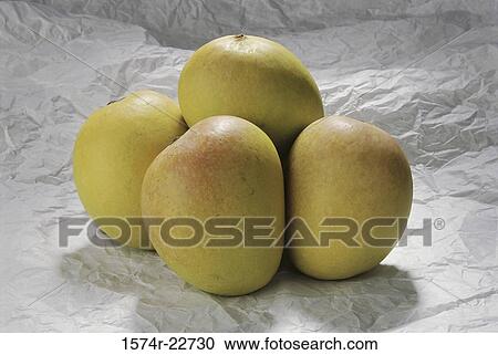Close-up of mangoes View Large Photo Image Stock Image - Close-up of mangoes. Fotosearch