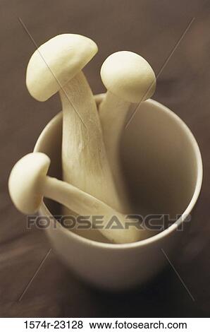 Close-up of mushrooms in a bowl View Large Photo Image Stock Photo - Close-up of mushrooms in a bowl. Fotosearch