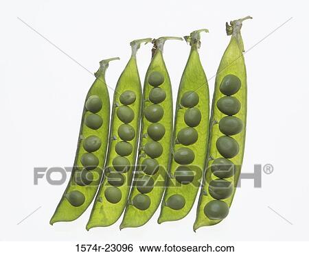 Stock Photograph - Close-up of peas. Fotosearch