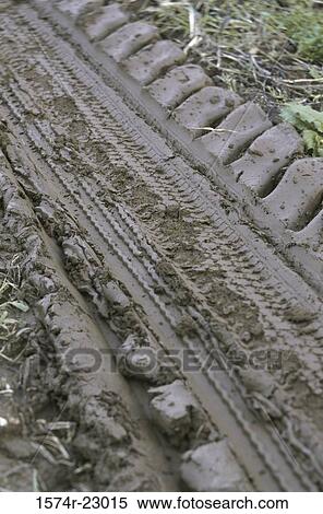Close-up of tire tracks in mud View Large Photo Image Stock Photography - Close-up of tire tracks in mud. Fotosearch
