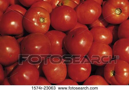 Close-up of tomatoes View Large Photo Image Stock Image - Close-up of tomatoes. Fotosearch