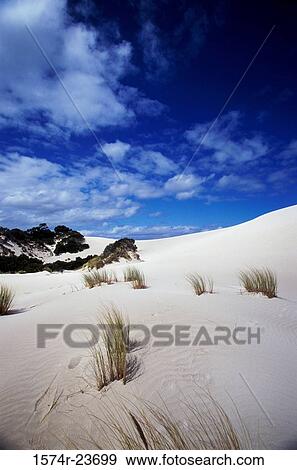Stock Photo - Clouds over a desert, Little Sahara, Kangaroo Island, Australia. Fotosearch