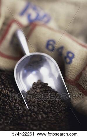 Coffee beans View Large Photo Image Stock Image - Coffee beans. Fotosearch