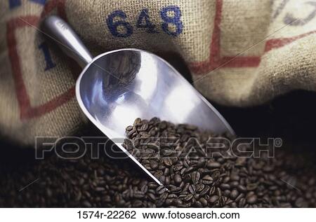 Coffee beans View Large Photo Image Stock Image - Coffee beans. Fotosearch