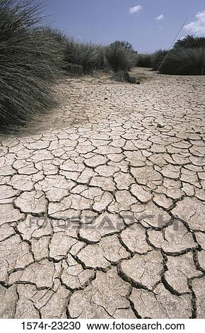 Stock Image - Cracked mud, Crete, Greece. Fotosearch