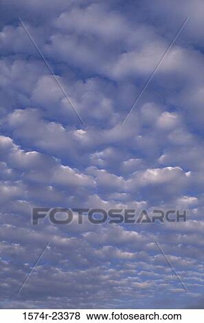 Cumulus clouds in the sky View Large Photo Image Stock Photo - Cumulus clouds in the sky. Fotosearch