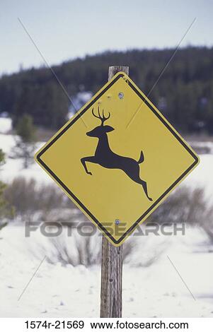 Deer sign View Large Photo Image Stock Photo - Deer sign. Fotosearch