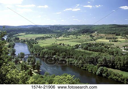 Stock Photograph - Dense plant growth near a river. Fotosearch