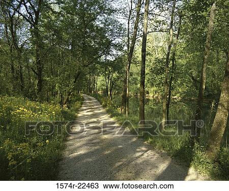 Dirt path lined with trees, Reflection Riding, Chattanooga, Tennessee, USA View Large Photo Image Stock Image - Dirt path lined with trees, Reflection Riding, Chattanooga, Tennessee, USA. Fotosearch