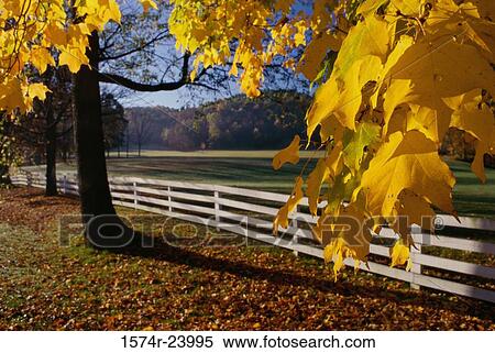 Stock Photography - Fence on a landscape, Indiana County, Pennsylvania, USA. Fotosearch