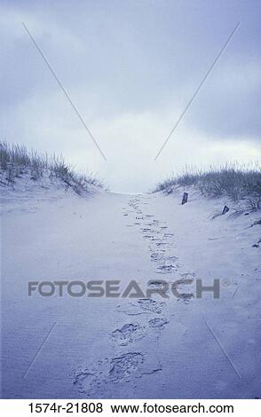 Footprints in the sand View Large Photo Image Stock Photo - Footprints in the sand. Fotosearch