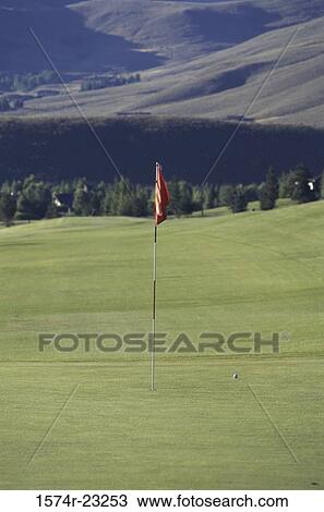 Golf ball near a flag on a golf course View Large Photo Image Stock Image - Golf ball near a flag on a golf course. Fotosearch