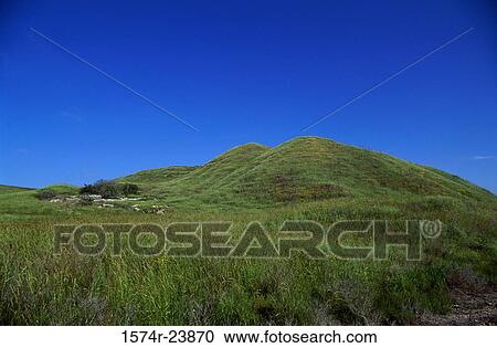 Grass on a landscape, Megiddo, Jezreel Valley, Israel View Large Photo Image Stock Image - Grass on a landscape, Megiddo, Jezreel Valley, Israel. Fotosearch
