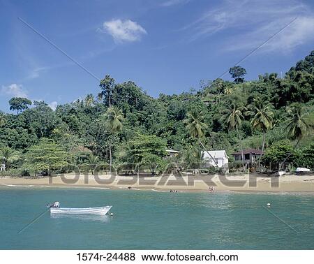 High angle view of a boat in the sea, Parlatuvier Bay, Trinidad and Tobago View Large Photo Image Stock Photo - High angle view of a boat in the sea, Parlatuvier Bay, Trinidad and Tobago. Fotosearch