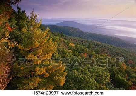 High angle view of a forest, Catskill State Park, New York State, USA View Large Photo Image Stock Photo - High angle view of a forest, Catskill State Park, New York State, USA. Fotosearch