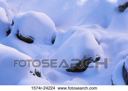 High angle view of snow covered rocks, Newberry National Volcanic Monument, Oregon, USA View Large Photo Image Picture - High angle view of snow covered rocks, Newberry National Volcanic Monument, Oregon, USA. Fotosearch